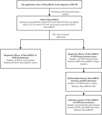 A rapid, accurate, and low-cost method for detecting Mycobacterium tuberculosis and its drug-resistant genes in pulmonary tuberculosis: Applications of MassARRAY DNA mass spectrometry